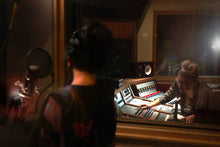 Load image into Gallery viewer, Tree Audio Roots Jr. 16 channel, Side Car Console (2 Unit Pair)